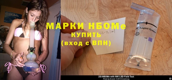 винт Инсар